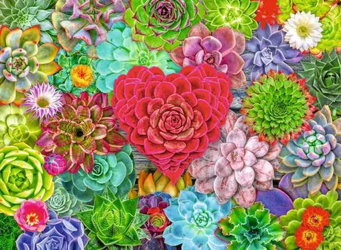 Ravensburger Succulent Love 500 Pc Puzzle