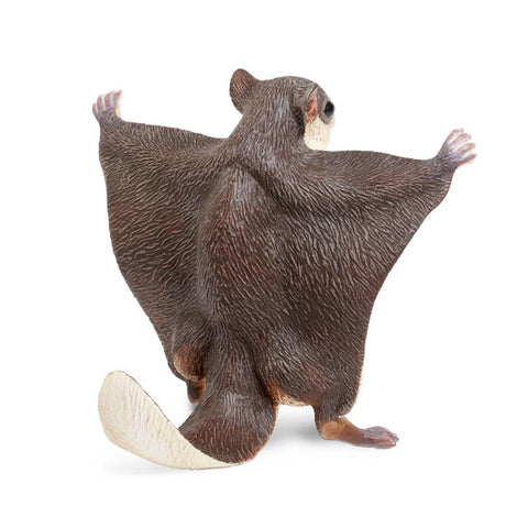 Flying Squirrel - 250229