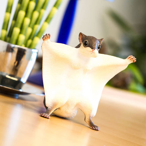 Flying Squirrel - 250229