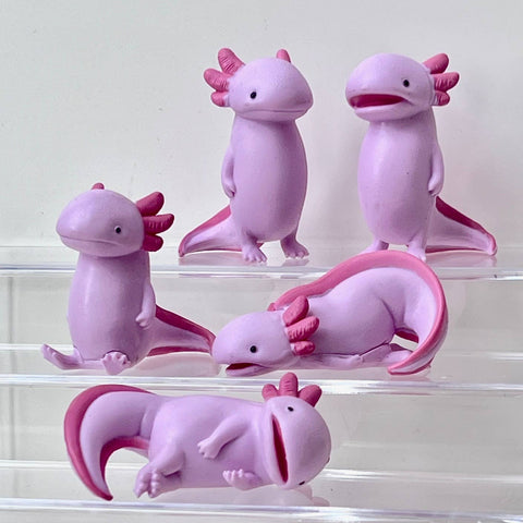 73065 Axolotl Void Blind Box-10