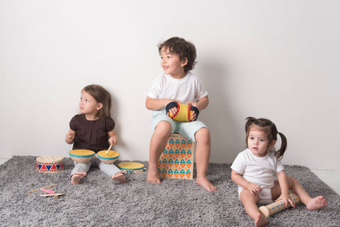 Plan Toys Concertina Musical Toy for Kids & Baby