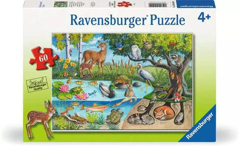 Animals Above and Below 60 Pc Puzzle
