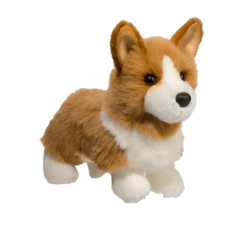 Douglas Louie Corgi