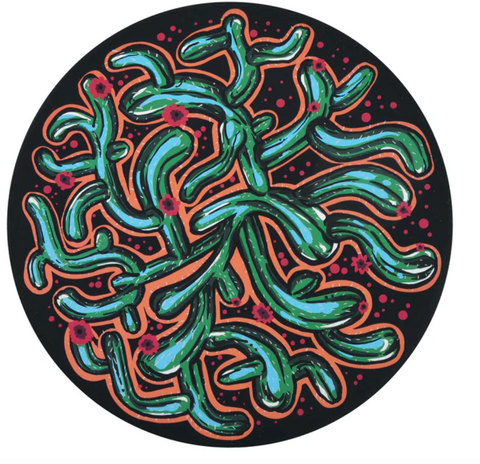 Waboba Wingman Silicone Disc: Artist Series