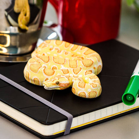 Safari Ltd. Albino Burmese Python - 100250