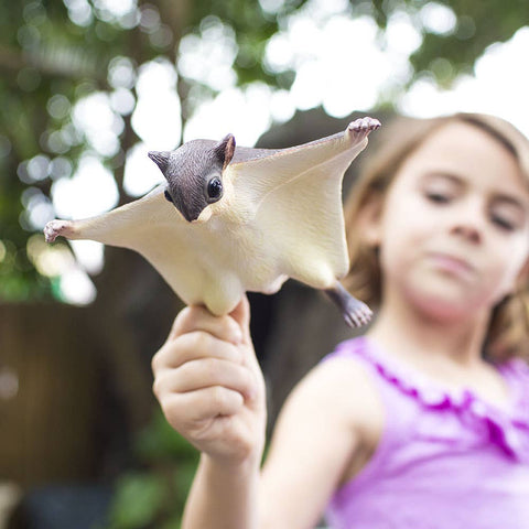Flying Squirrel - 250229