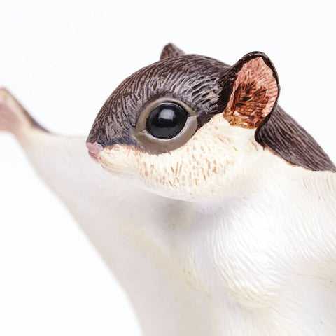 Flying Squirrel - 250229