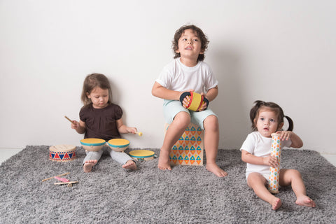 Plan Toys Concertina Musical Toy for Kids & Baby