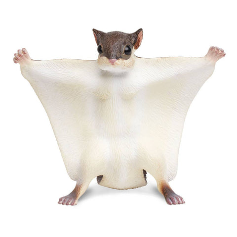 Flying Squirrel - 250229