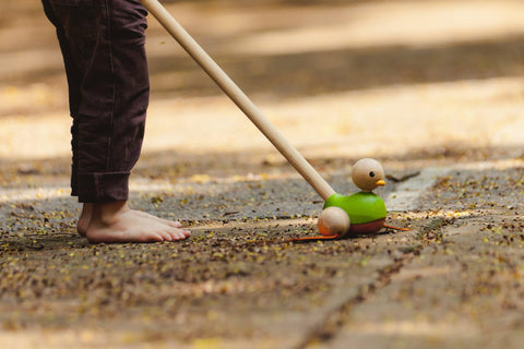The Plan Toys Push Along Duck