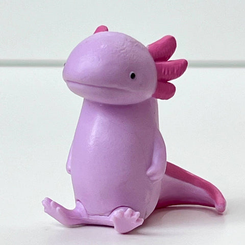73065 Axolotl Void Blind Box-10