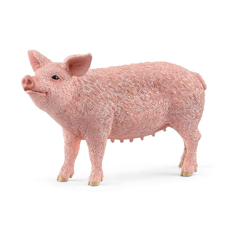 Schleich Pig 2026