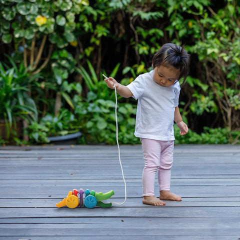 Plan Toys Rainbow Alligator