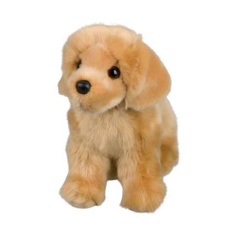 Douglas Chap Golden Retriever