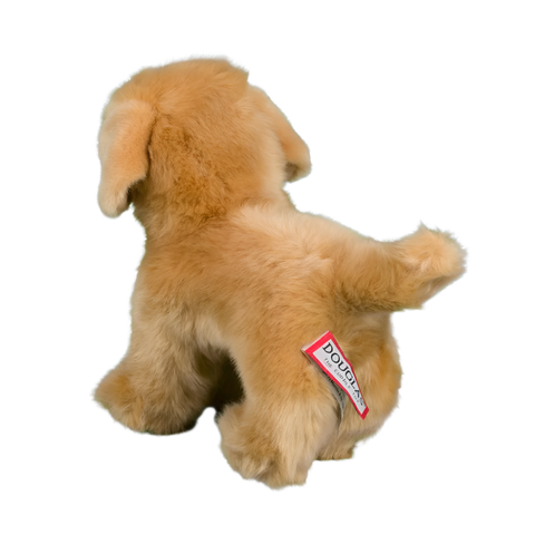 Douglas Chap Golden Retriever