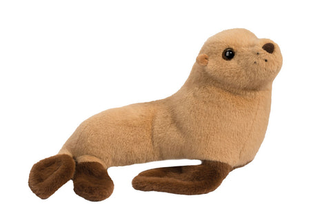 Douglas Bark Sea Lion