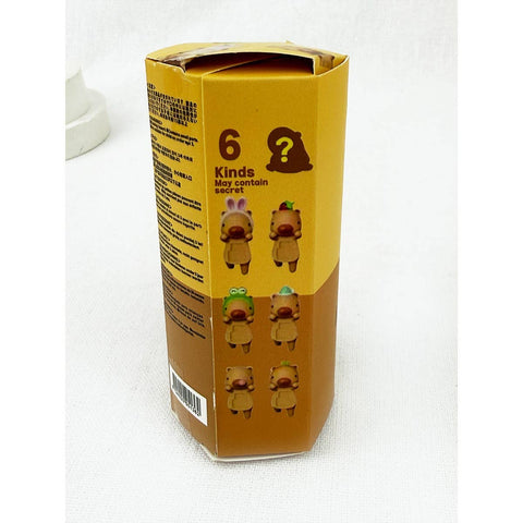 Cute Capybara Hippers Blind Box