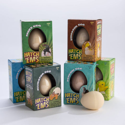 Turtles (Mini Hatch'ems) | Watch them Grow!