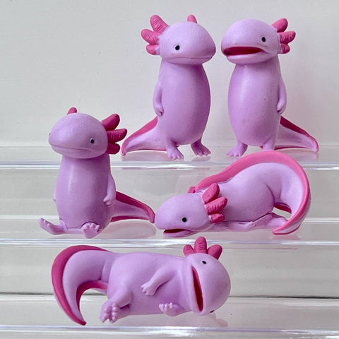 73065 Axolotl Void Blind Box-10