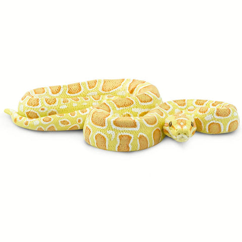 Safari Ltd. Albino Burmese Python - 100250