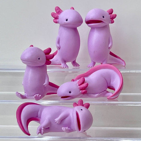 73065 Axolotl Void Blind Box-10