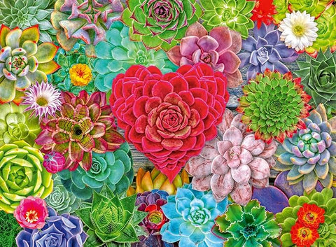 Ravensburger Succulent Love 500 Pc Puzzle
