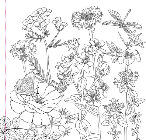 Wildflower Adult Coloring Book