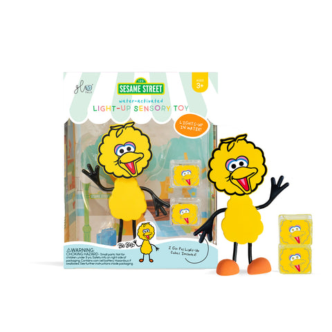 Glo Pals x Sesame Street Big Bird Character