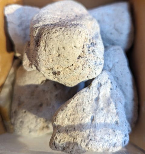 Pumice Chunk: The Ultimate Volcano Rock