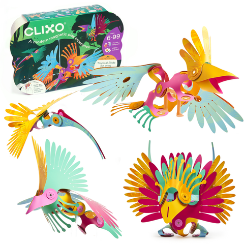 Clixo Tropical Birds Pack 24 Pieces