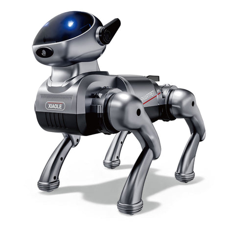 Remote Control Robot Dog