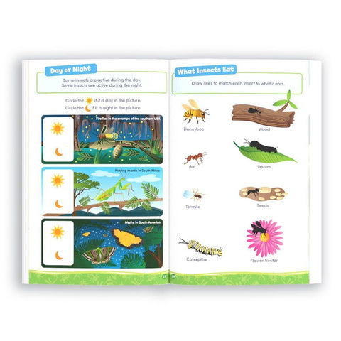 Early Explorers Activity Book