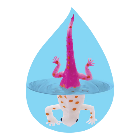 Color Changing Revealeons