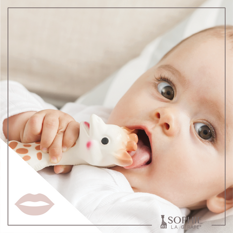 Sophie La Girafe White Box - Classic