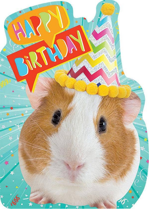 Guinea Pig Foil Card