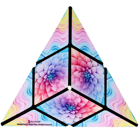 Shashibo 2026 Spring - Tie Dye Twist