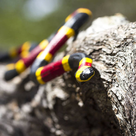 Safari Ltd. Coral Snake - 257429