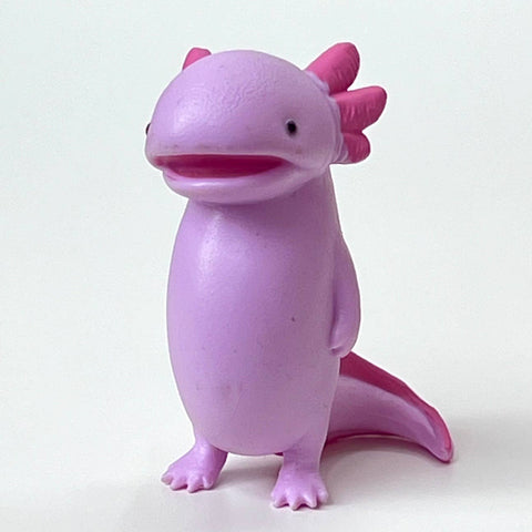 73065 Axolotl Void Blind Box-10