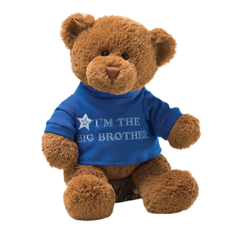 Gund Big Brother Teddy Bear Plush 12 in