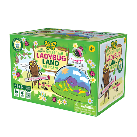 Insect Lore Ladybug Land with Prepaid Voucher